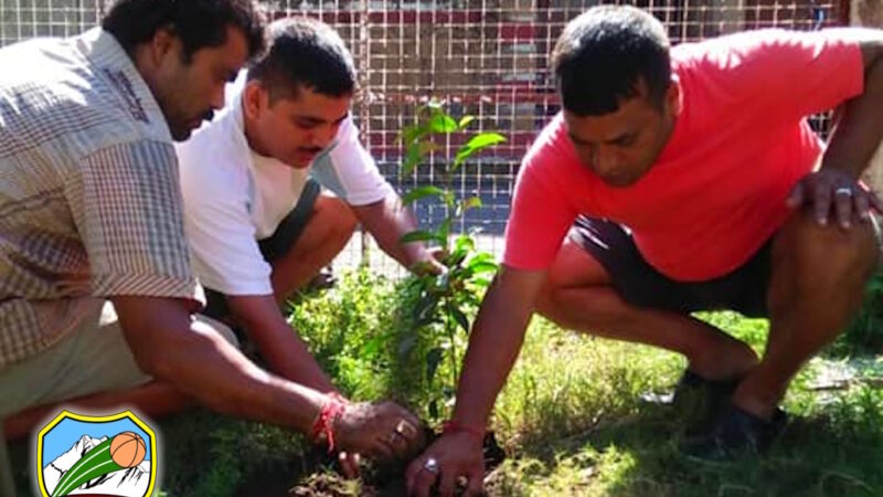 Environmental Activities 1