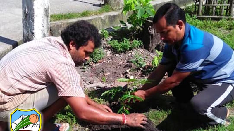 Environmental Activities 2