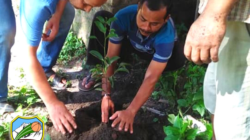 Environmental Activities 3